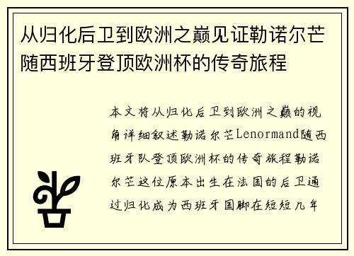 从归化后卫到欧洲之巅见证勒诺尔芒随西班牙登顶欧洲杯的传奇旅程